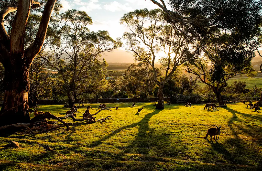 Hobart Highlights Full Day Tour