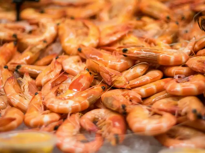 Mooloolaba Seafood Lunch Cruise