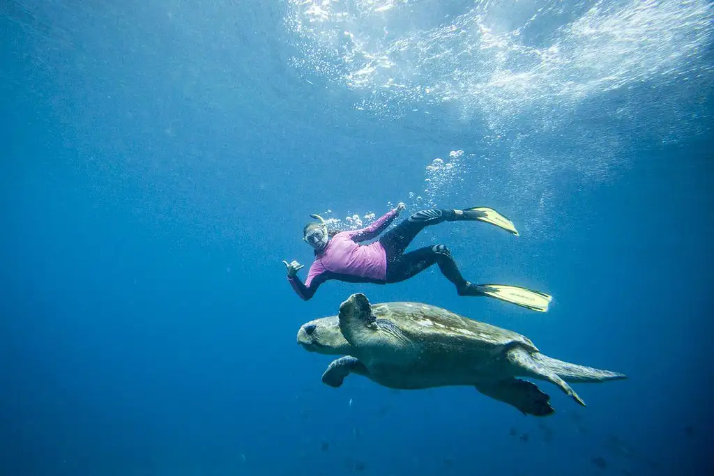 Certified Dive Tour At Julian Rocks