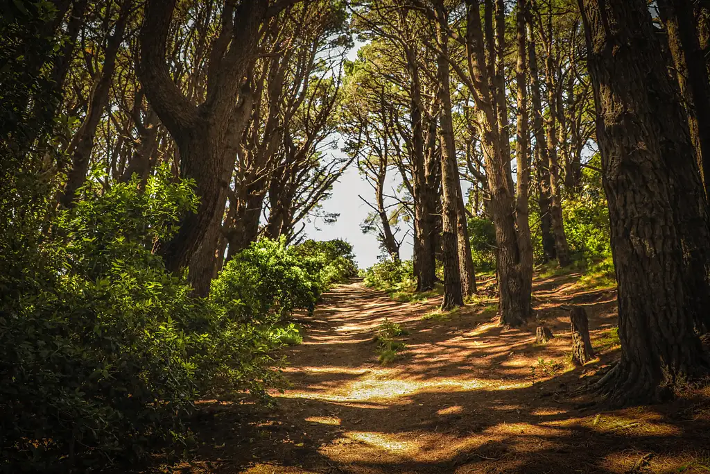 Full Day Lord of the Rings Tour from Wellington with Weta workshop & Lunch