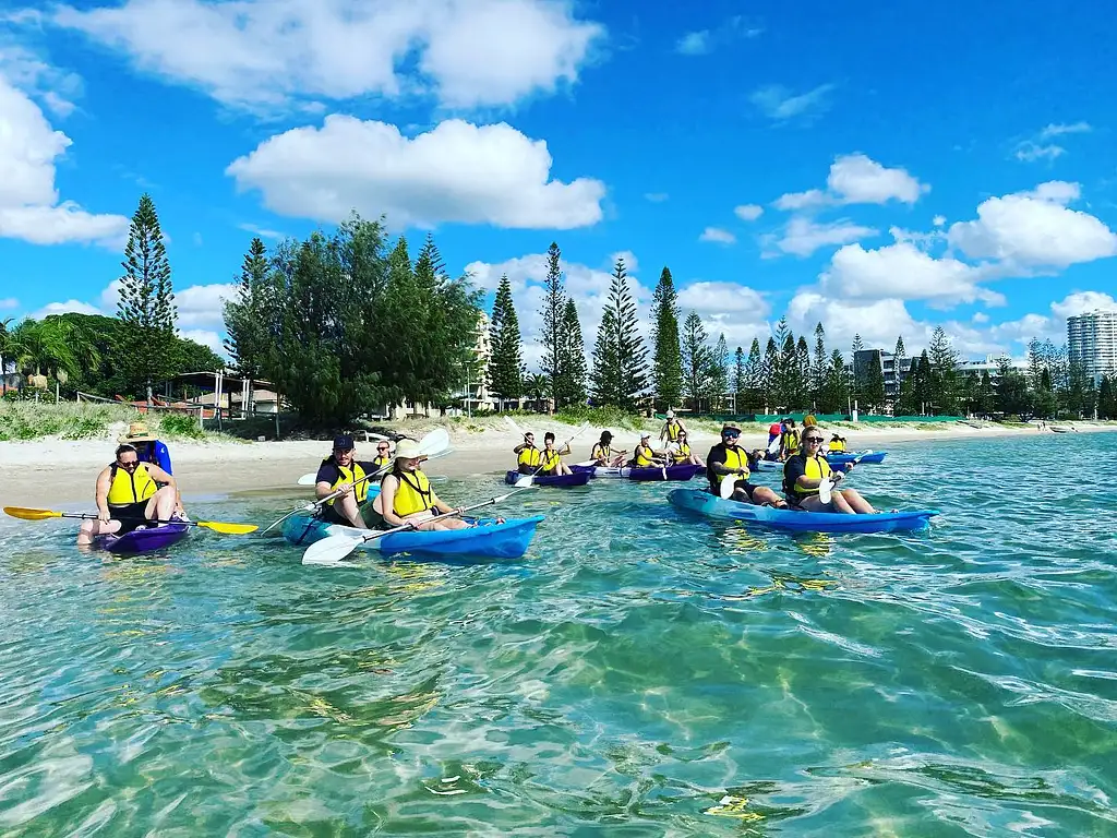 Broadwater Dolphin Kayaking & Snorkeling Tour