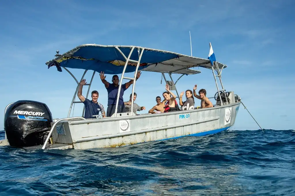 3 Day Short & Shark | Awesome Adventures Fiji