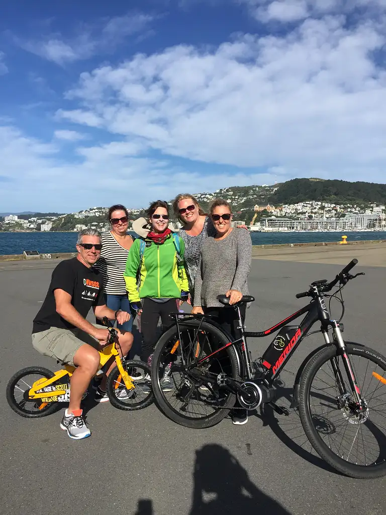 Half Day Wellington & Surrounds E-bike Tour