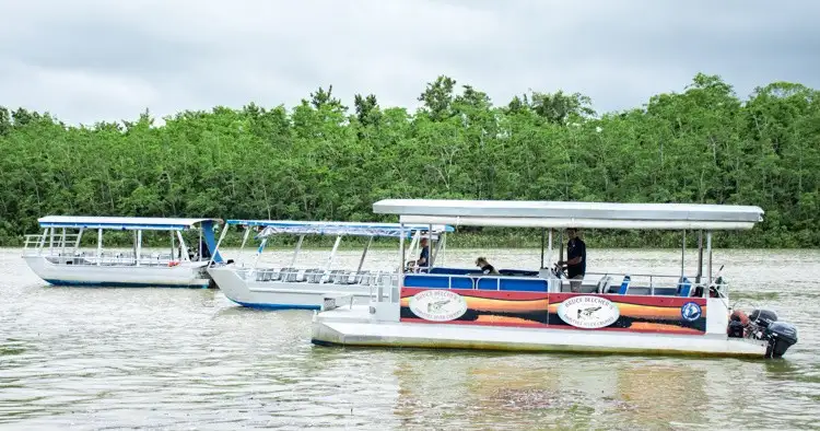 Bruce Belcher's 1 Hour Daintree River Cruise