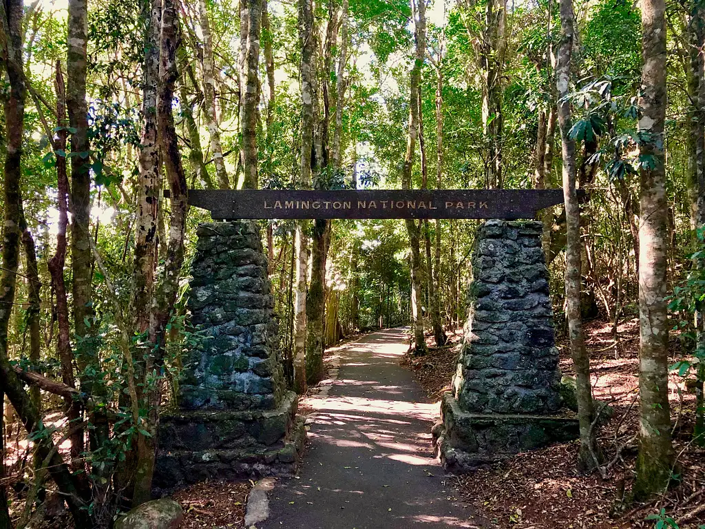 Rainforests of Lamington Wilderness Tour from the Gold Coast