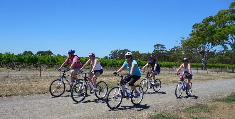 McLaren Vale Wine & Bike Tour