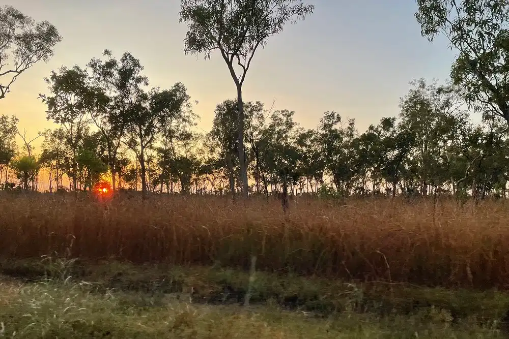 Kakadu Cultural Exploration Tour