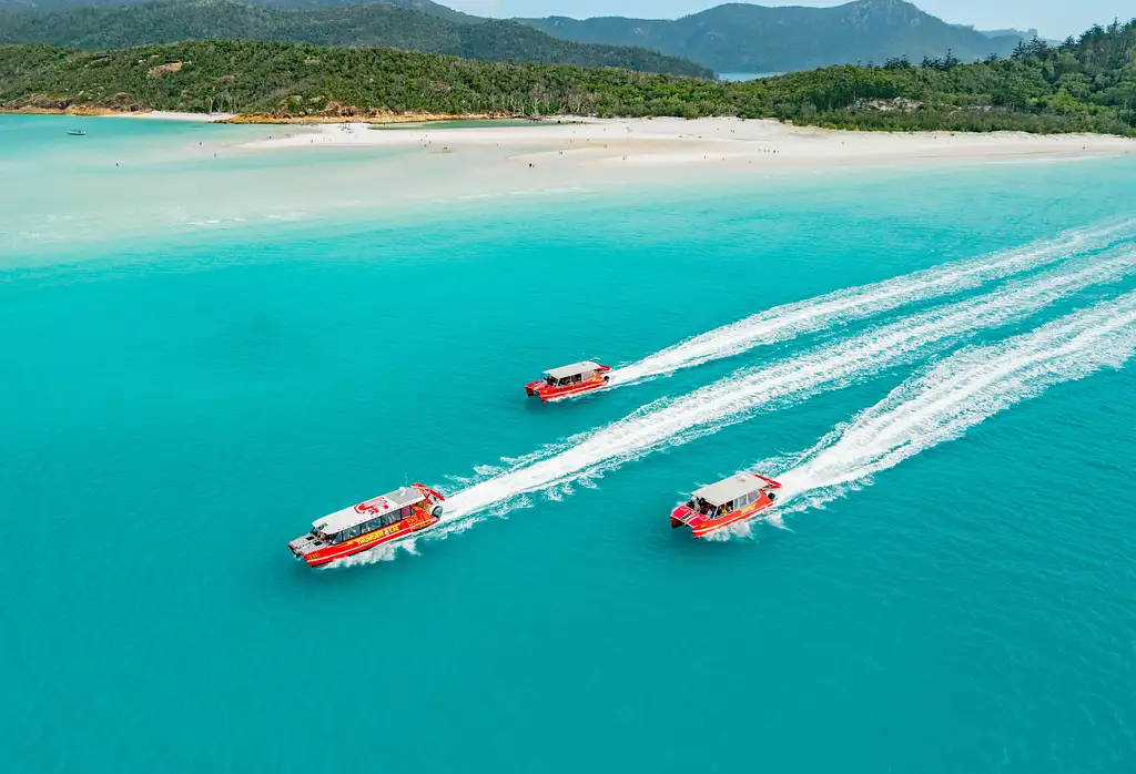 Thundercat Whitehaven Full Day Eco-Cruise from Airlie Beach