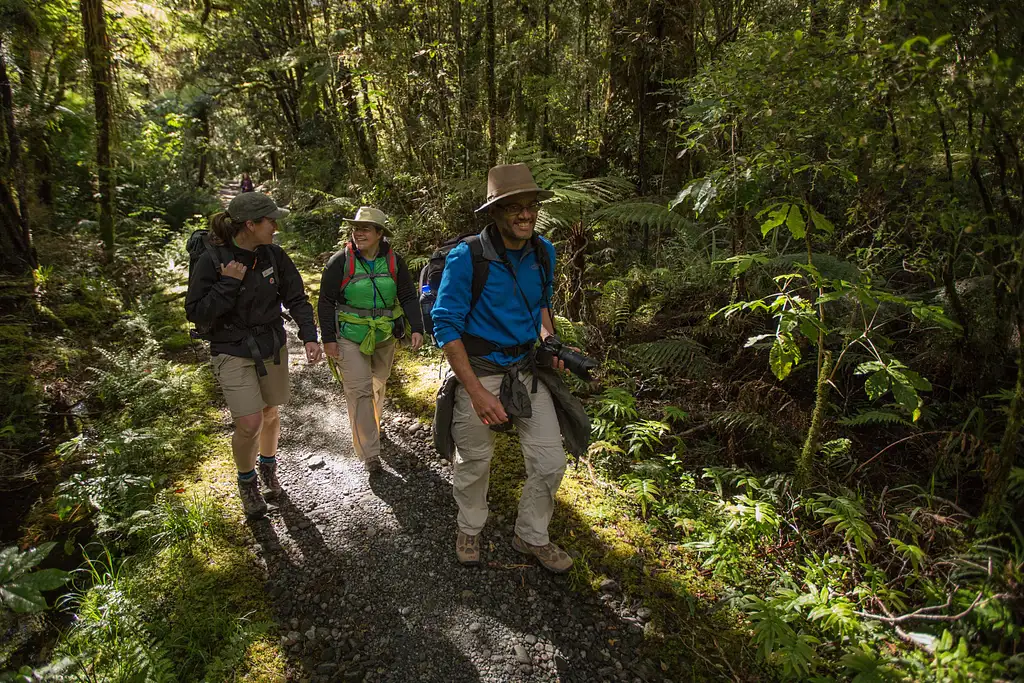 Milford Track Guided Walk - From Milford Sound