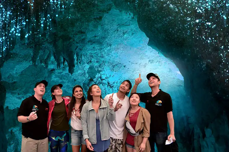 Hobbiton & Waitomo Caves Small Group Tour from Auckland