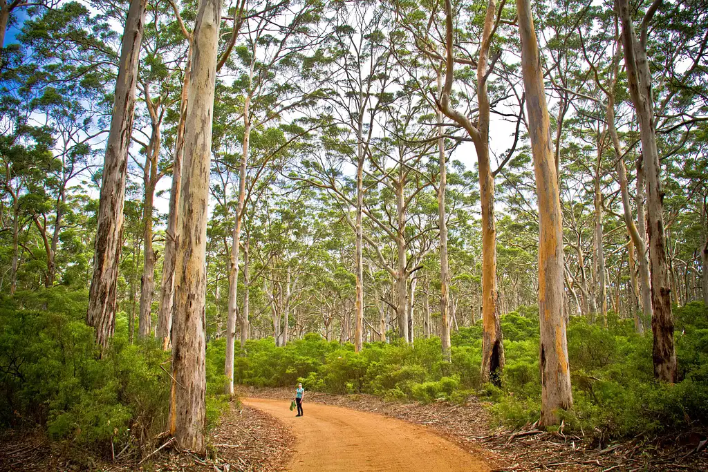 Margaret River Wine Adventure - The tour for people who don't do tours!