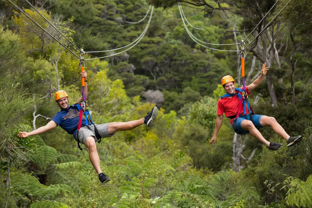 Ziplining & Forest Walk Waiheke Island