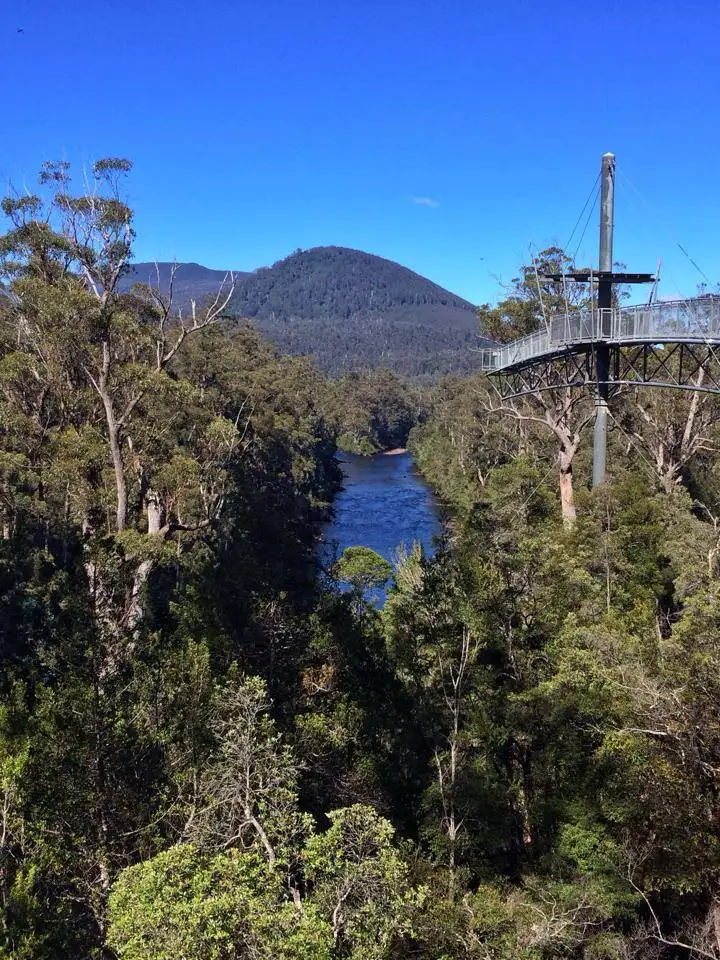 Tahune Airwalk & Hastings Cave From Hobart