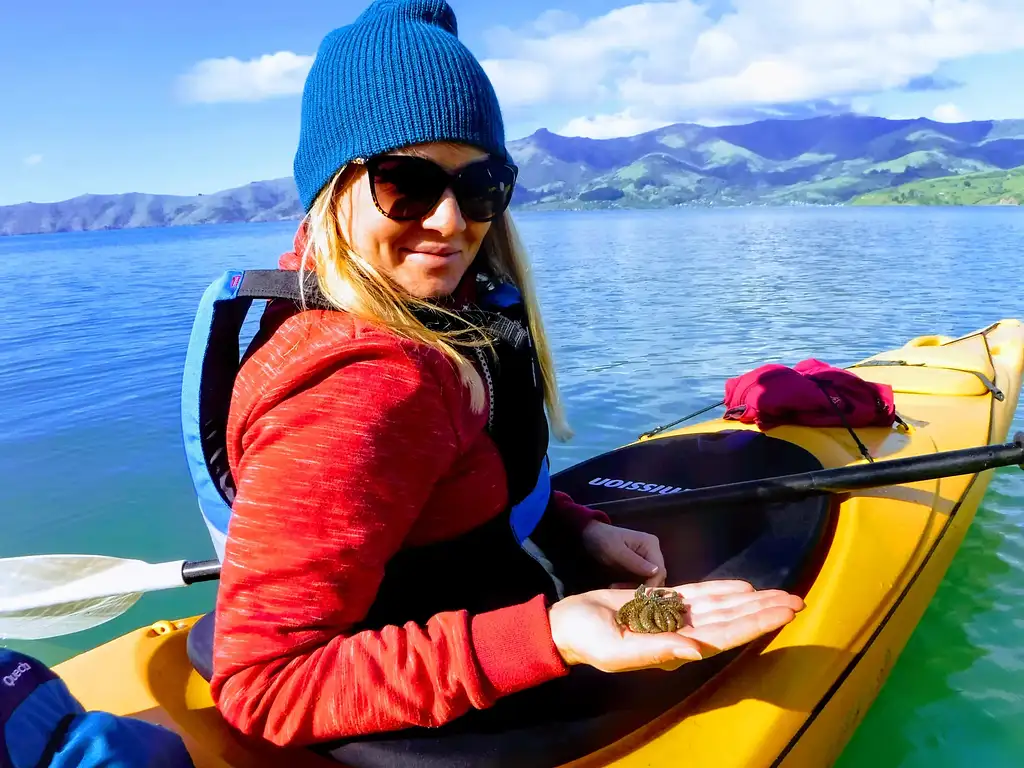 Akaroa Crater Cruiser Sea Kayaking Safari