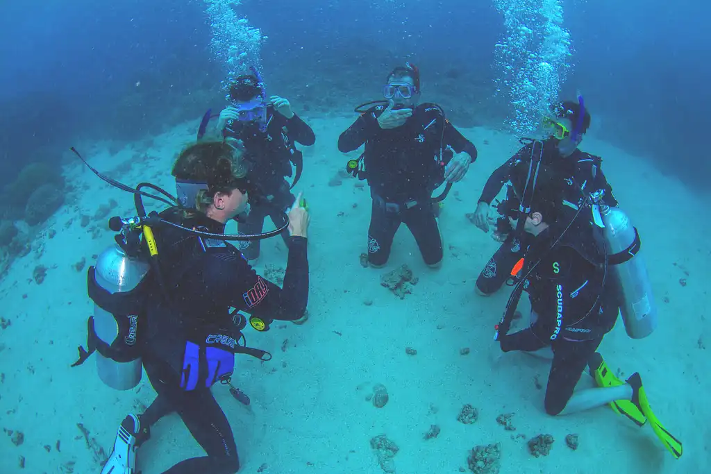 6 Day PADI Open Water & Advanced Course with 3 Night Liveaboard