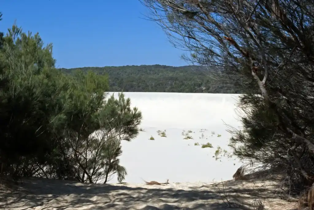 Moreton Island Snorkel, Sandboarding & 4WD Day Trip from Brisbane