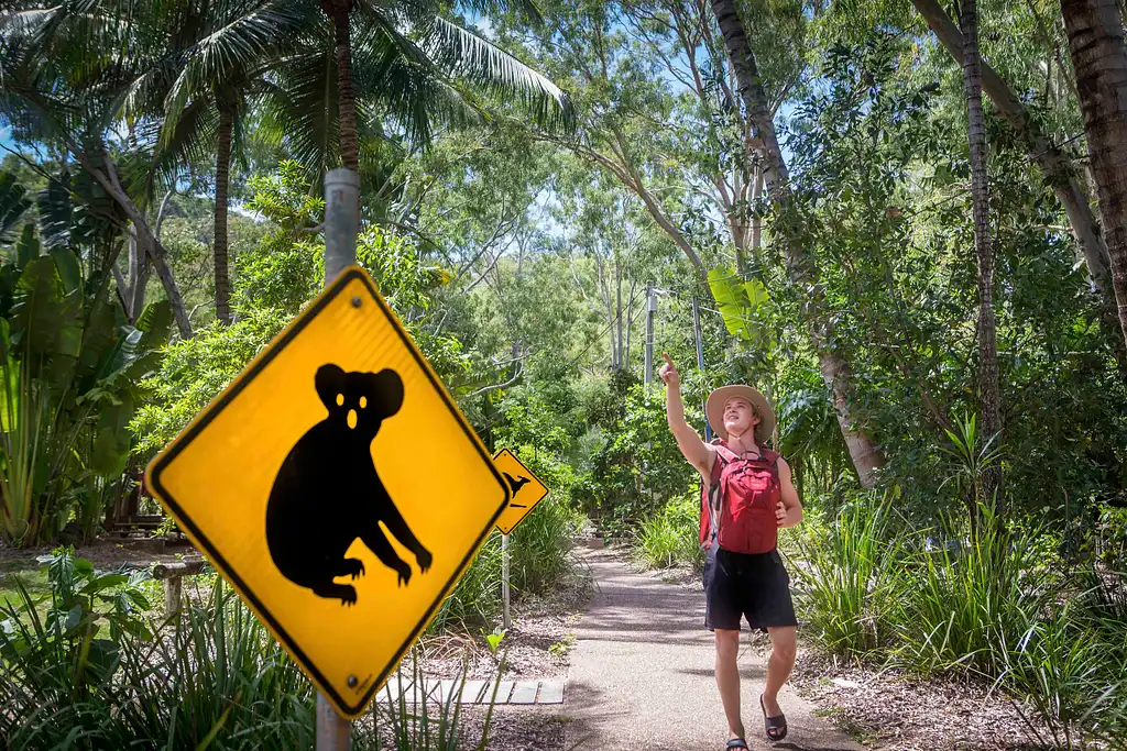 15 Day Byron Bay to Cairns Tour (Roo) | Stray