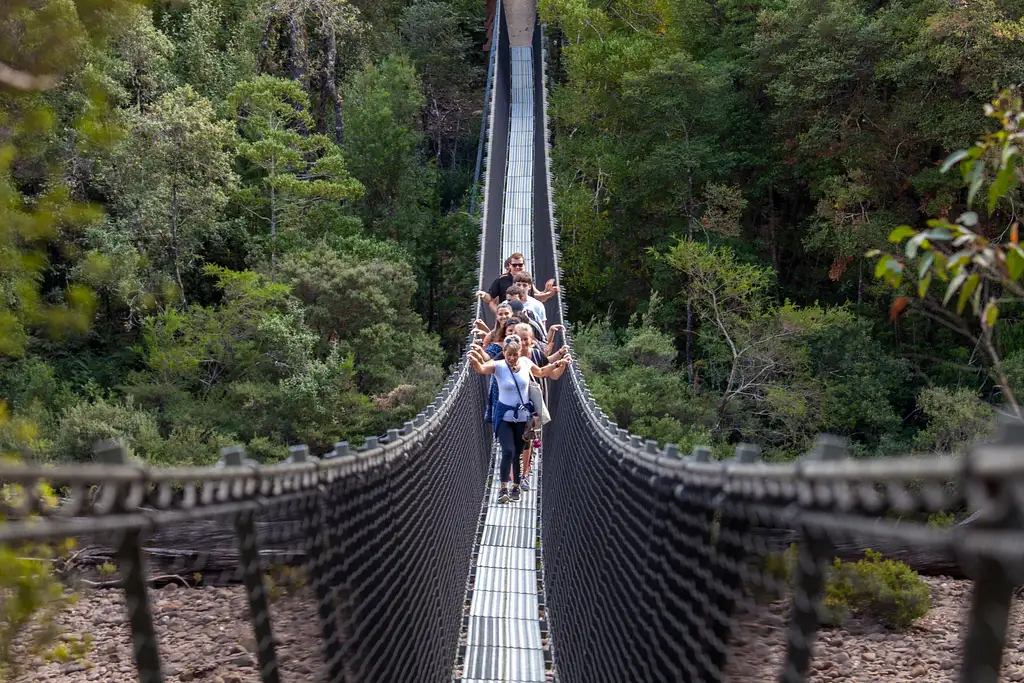 Tahune Airwalk & Hastings Cave From Hobart