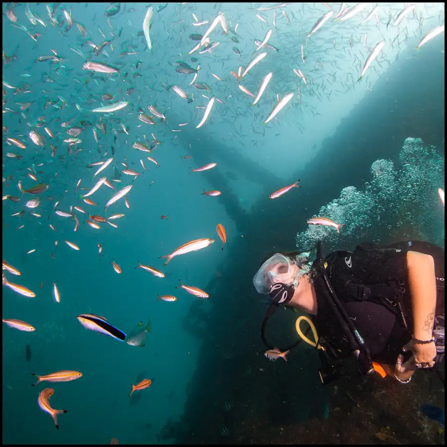 Ex-HMAS Brisbane Double Dive