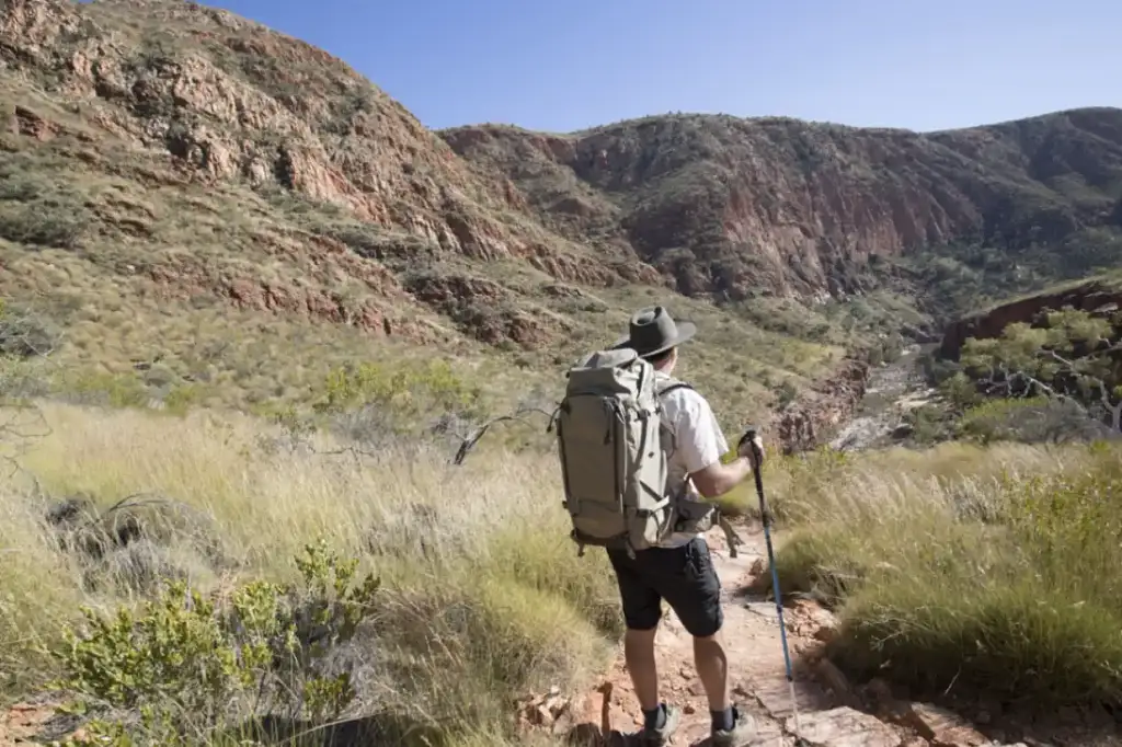 Larapinta Trail 5 Day Trek - Twin Share Safari Tent from Alice Springs