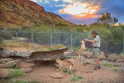 Alice Springs Desert Park - Day Entry