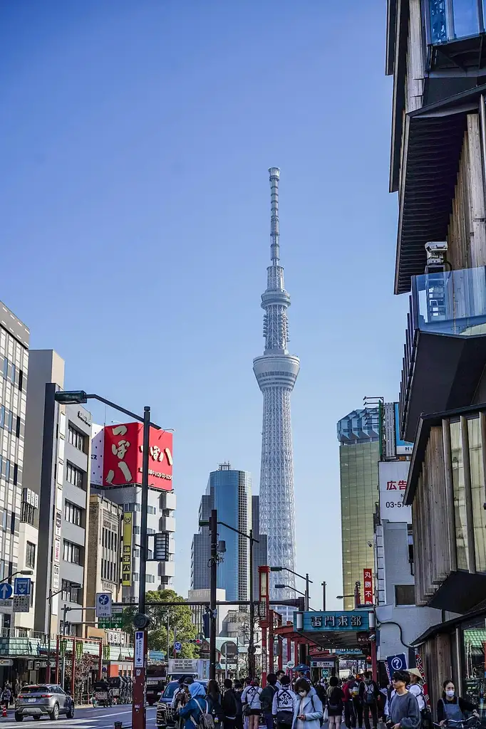 Tokyo and Edo Hidden Gem Bike Tour with Lunch