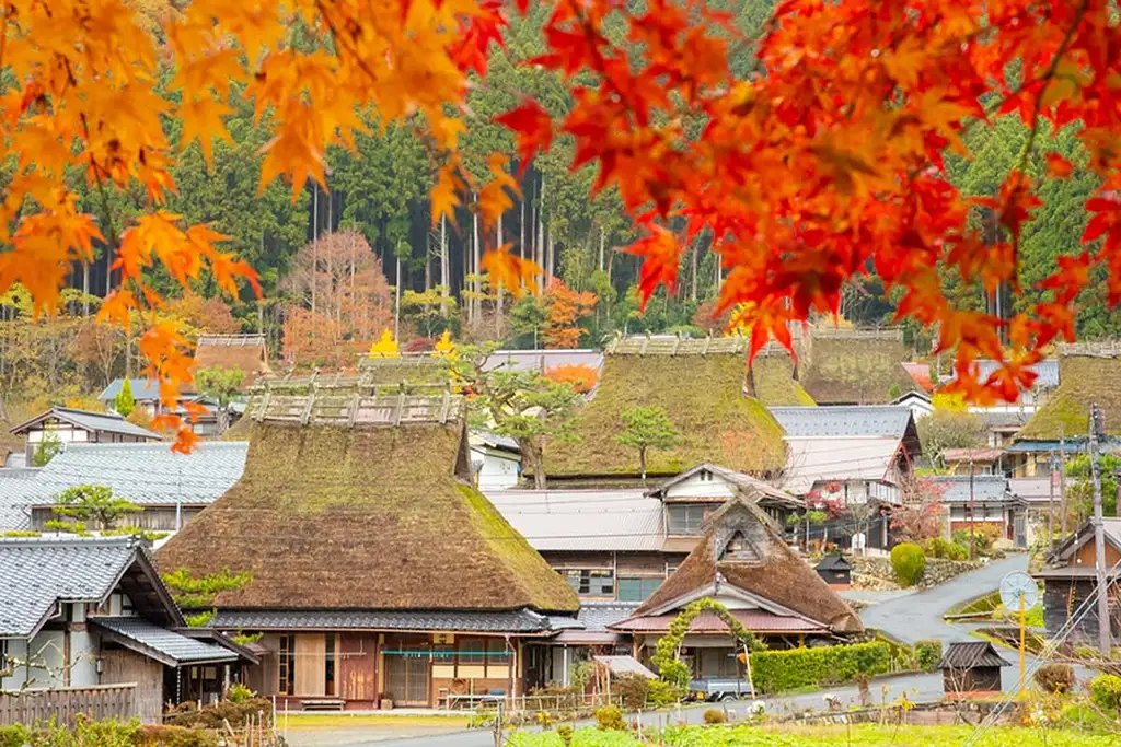 Ine Town, Amanohashidate and Miyama Village Full-Day Tour from Osaka