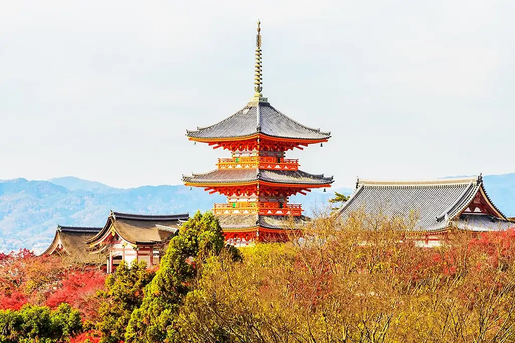 1-Day Tour To Kyoto And Nara Park From Osaka