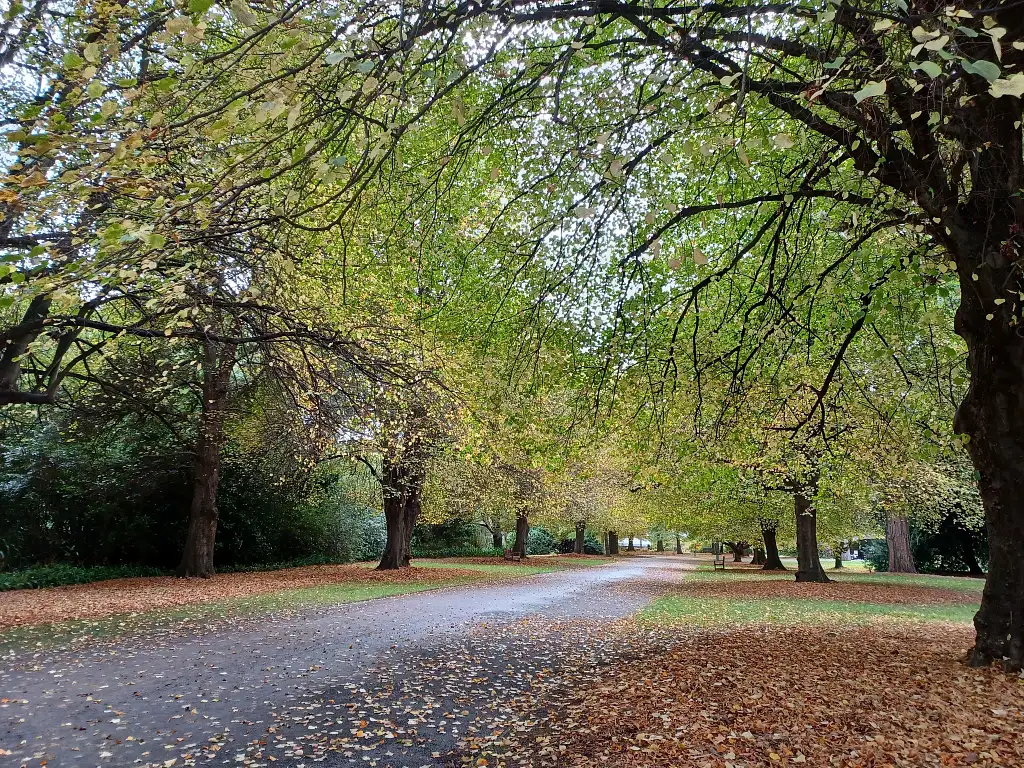 Christchurch Botanic Gardens Tour