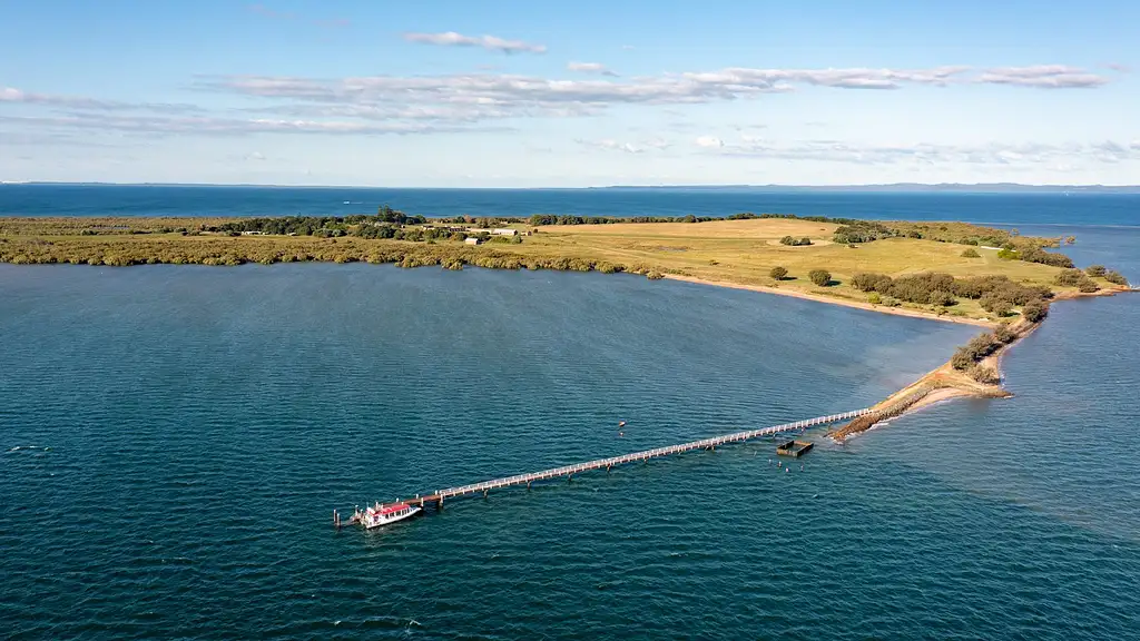 Moreton Bay Snorkel Tour - All Inclusive