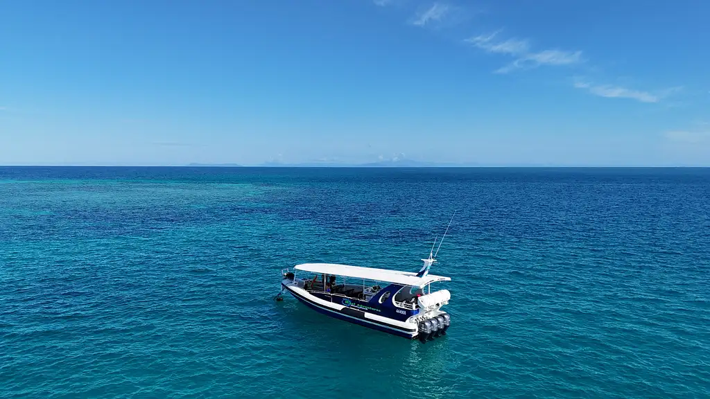 Great Barrier Reef Snorkelling Half Day Tour  | Mission Beach