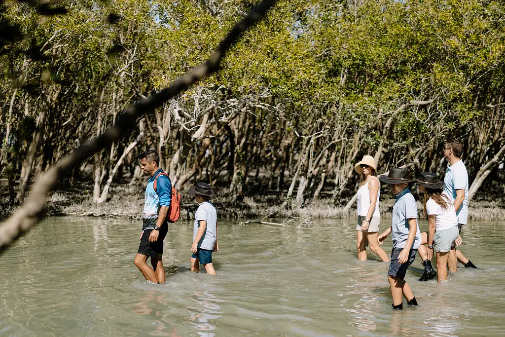 Broome Mangrove Discovery Experience