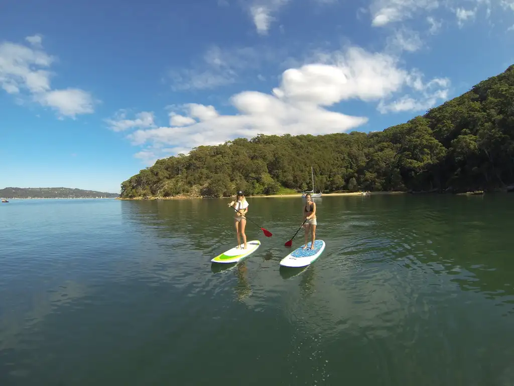 Pittwater SUP Safari In Ku-ring-gai Chase National Park