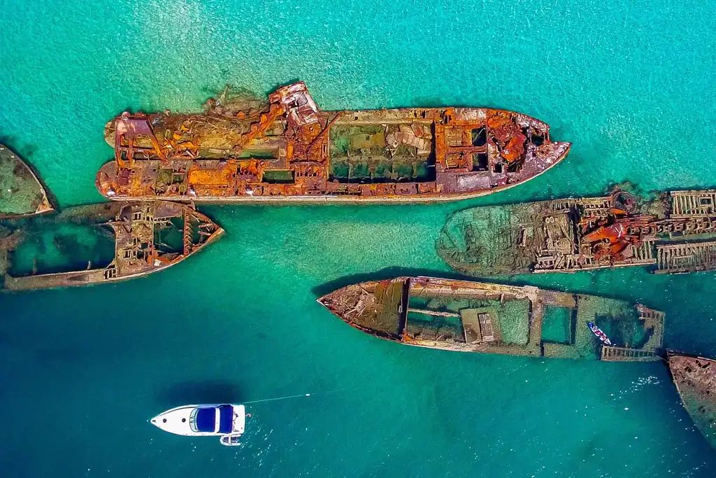 Tangalooma Wrecks Adventure Tour from Brisbane