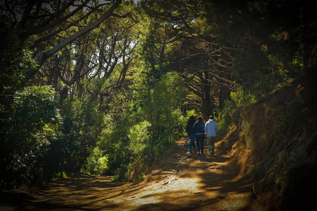 Full Day Lord of the Rings Tour from Wellington with Weta workshop & Lunch