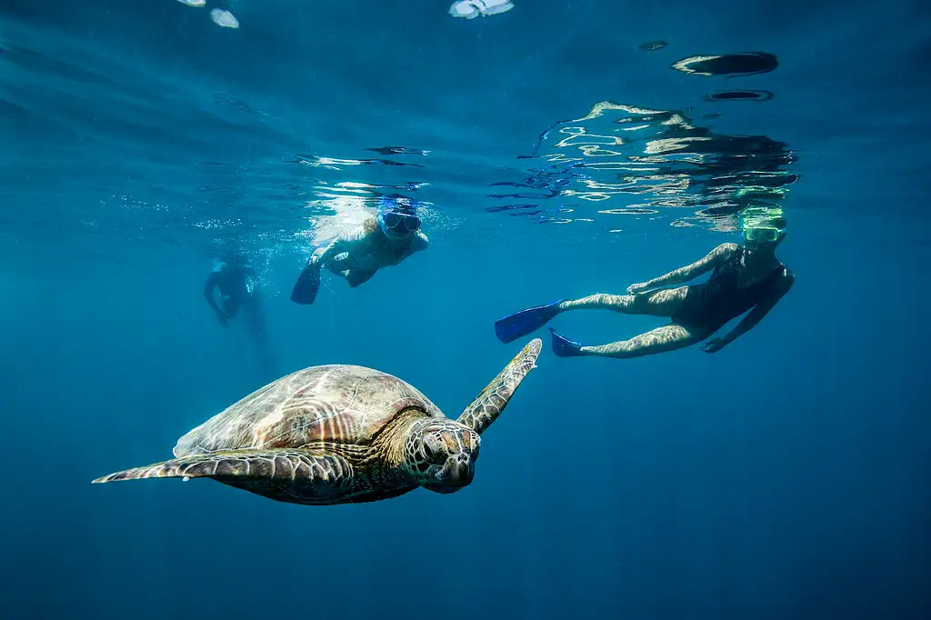 Great Barrier Reef Full Day Experience