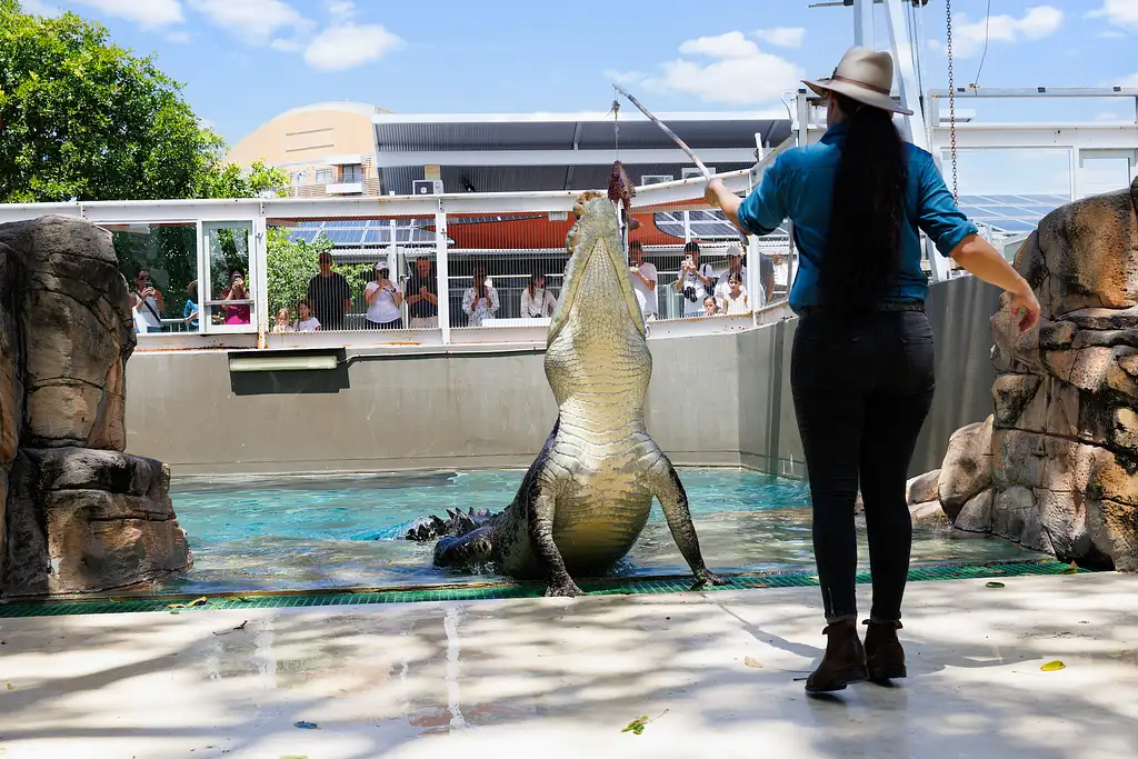 Croc N History Pass - Crocosaurus Cove + RFDS & Bombing of Darwin Tourist Facility Entry