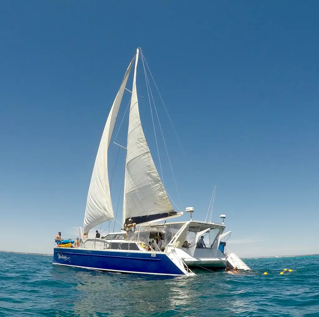 Ningaloo Humpback Whale Swim & Catamaran Sail | Departing Exmouth