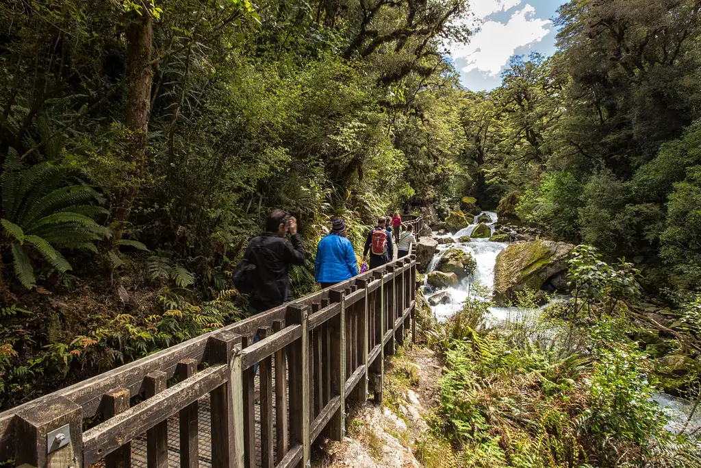 Milford Sound Cruise & Milford Track Walk