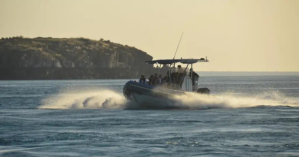 Giant Tides Sea Safari from Cygnet Bay