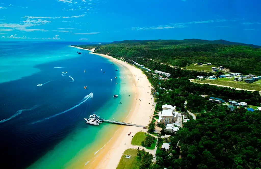 Marine Discovery Day Cruise with option to upgrade to Dolphin Feeding | Moreton Island