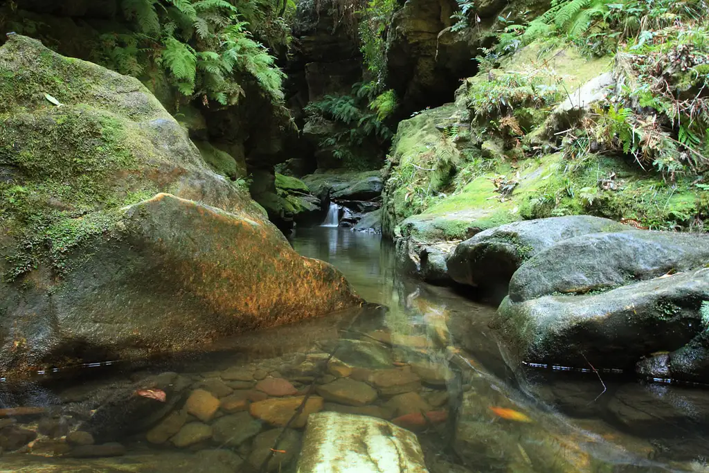 Blue Mountains Abseiling & Canyoning Combo