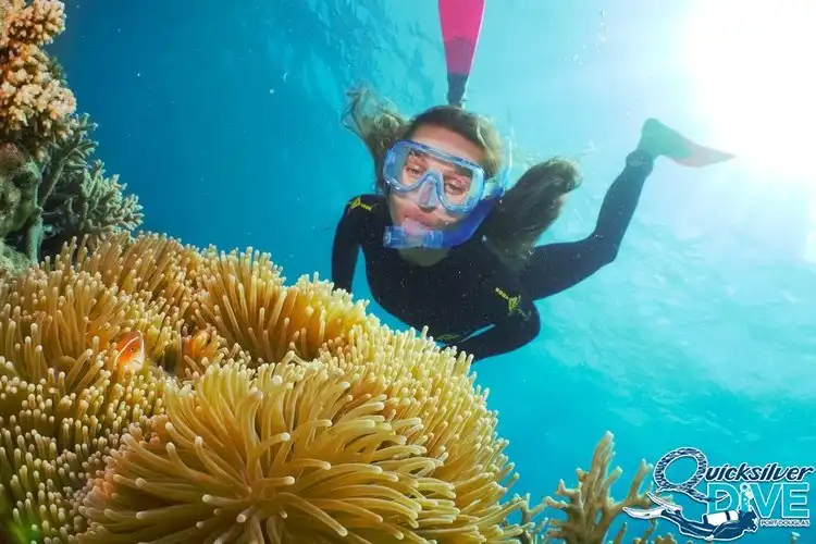 Silversonic Great Barrier Reef Certified Diving from Port Douglas