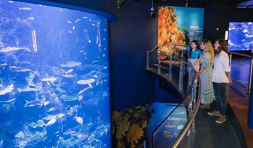 Cairns Aquarium by Sunrise