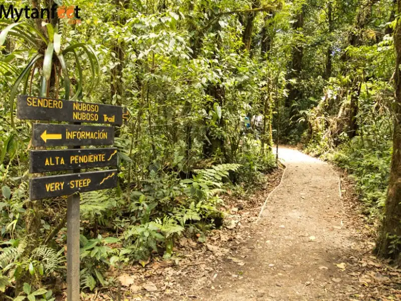 Monteverde Cloud Forest Tour from San José