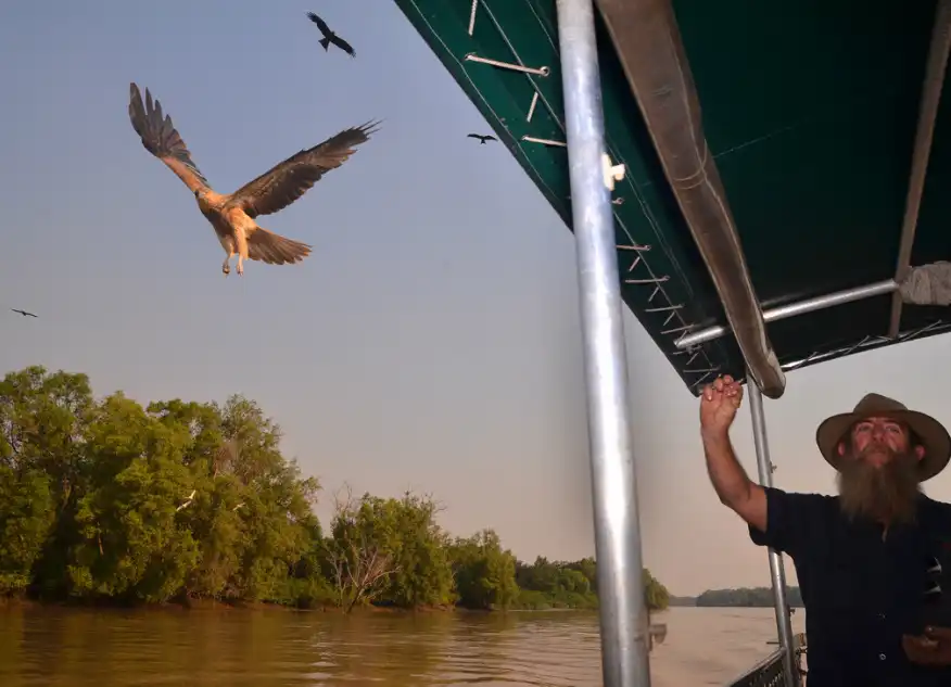 Litchfield Park Jumping Crocodile Cruise & Sunset Experience