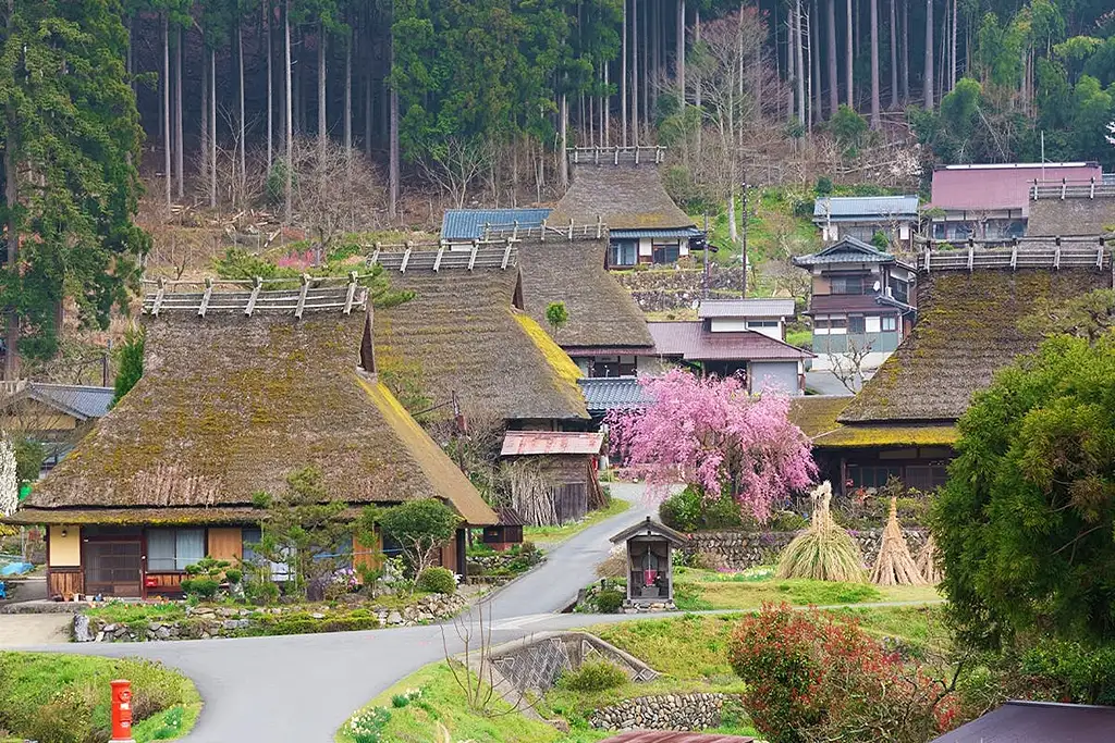 Ine Town, Amanohashidate and Miyama Village Full-Day Tour from Osaka