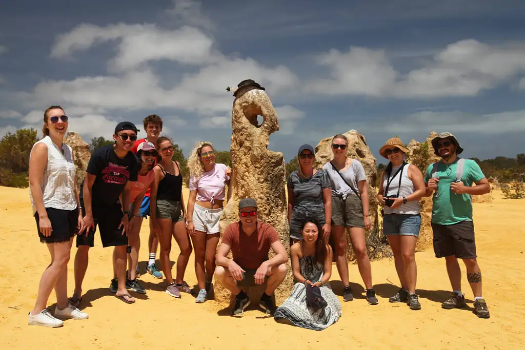 Pinnacles Sunset, Stargazing & Wildlife Day Tour With Dinner