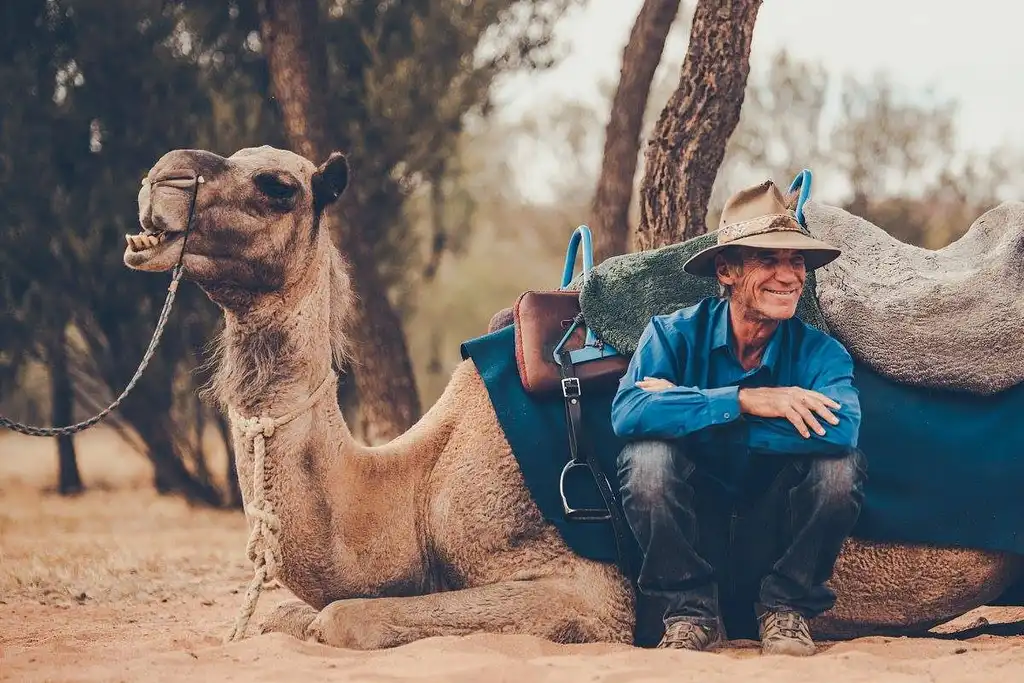 1 Hour Camel Ride Alice Springs