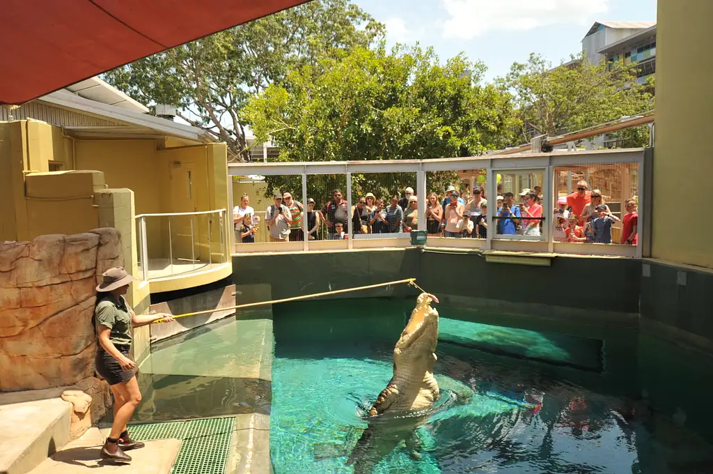 Croc N History Pass - Crocosaurus Cove + RFDS & Bombing of Darwin Tourist Facility Entry